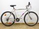 Горный велосипед 26 Alu Bike 21Gang 000024414 фото 1