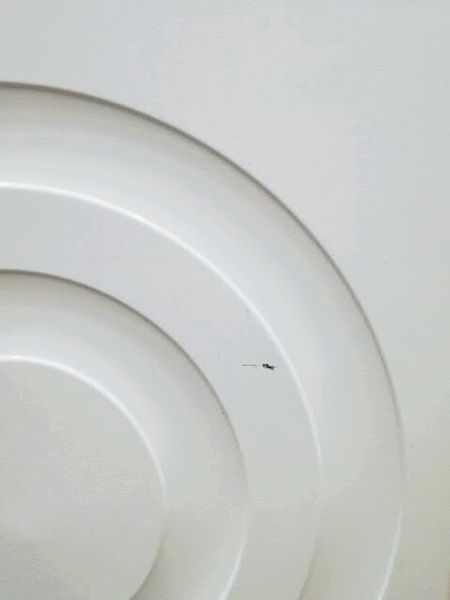 Стиральная машина Siemens IQ300 WM14E3X2 79 000034907 фото