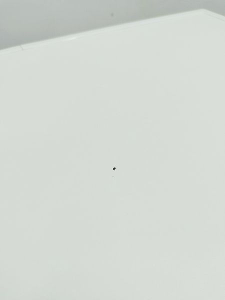 Сушильная машина AEG Protex Plus T67689IH3 000044937 фото