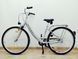 Комфортный велосипед 28 Fischer AluBike 000043012 фото 2
