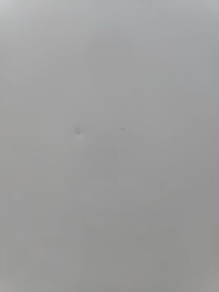 Холодильник Electrolux ERB34302W8 110W 216+87л sn 83403818 n666 000053970 фото