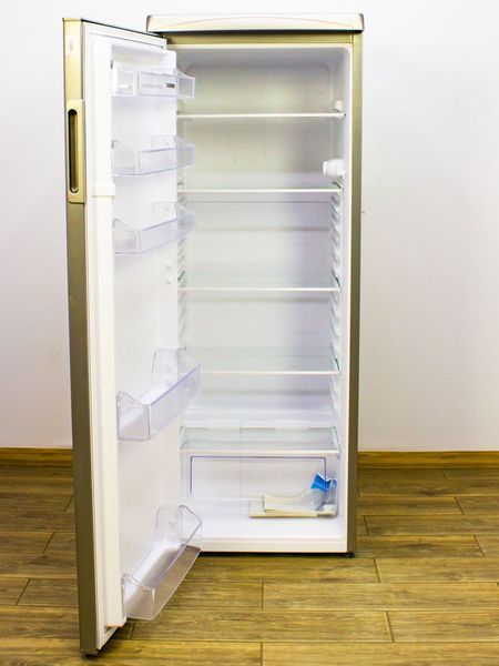 Холодильник однокамерний Telefunken TFK562FS2 250л 272W sn 1169023729018337800005 000019210 фото