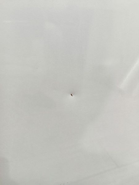 Холодильник двокамерний Electrolux ER8691B 19W 224+87л sn 54606323 n 454 000049666 фото