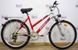 Велосипед All Terrain Bike ATB 000012307 фото 1