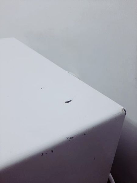 Микроволновая печь Moulinex MW 1200W 000034645 фото