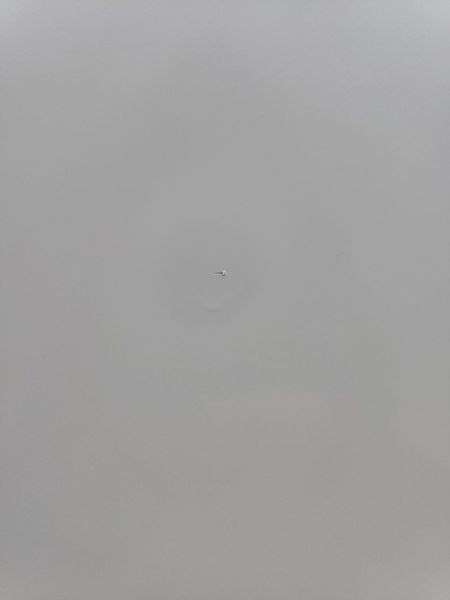 Морозильная камера Electrolux EUC29220W 260л 100W sn 13750025 n606 000052755 фото