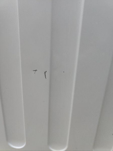Пральна машина з сушінням Bosch Avantixx WVH28440 2400W 7+4кг sn 9012400067 000051671 фото