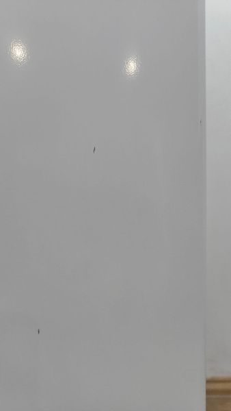 Холодильник Bosch KGS36V00 21 160W 227+84л sn 217020240362003837 n637 000053310 фото