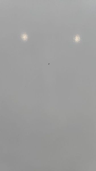Холодильник Bosch KGS36V00 21 160W 227+84л sn 217020240362003837 n637 000053310 фото