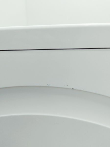 Стиральная машина Siemens IQ700 WM14W447DN 09 000036760 фото