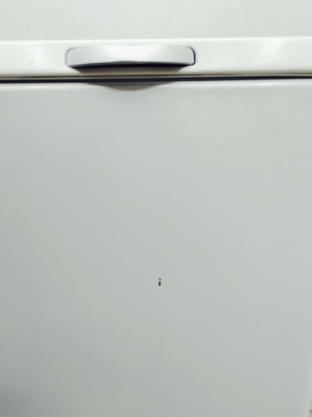 Пральна машина вертикальна AEG L47289 1200 об 6 кг 2300w sn 45000004 000039670 фото