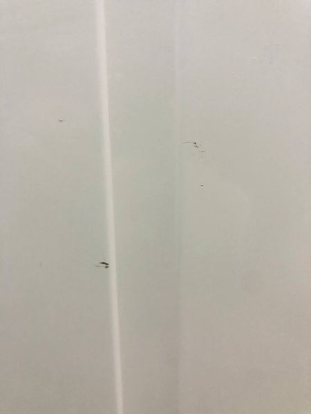 Стиральная машина Bosch Maxx WFL249Y 08 000043712 фото