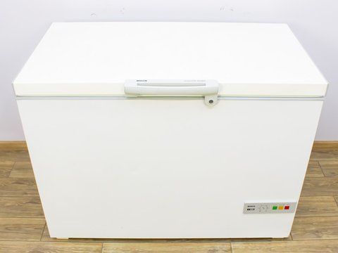 Морозильный ларь Bosch GTL 2605 95 000019338 фото
