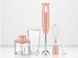 Блендер набір SilverCrest SSMS 600 E3 600w Orange 000038553 фото 1