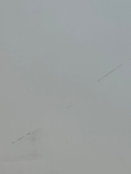 Холодильник двокамерний Electrolux ER8501B 160W 237+82л sn 14202483 n483 000050185 фото
