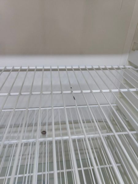 Холодильник двокамерний Electrolux ER8501B 160W 237+82л sn 14202483 n483 000050185 фото