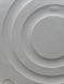 Стиральная машина Bosch HomeProfessional WAY28742 39 2100W 8 кг sn 9503 200318 000052358 фото 9