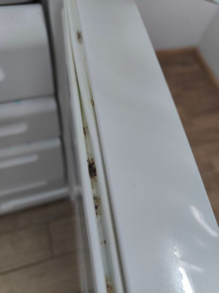 Холодильник двокамерний Electrolux ER8315B 150W 188+118л sn 61909597 n486 000050208 фото