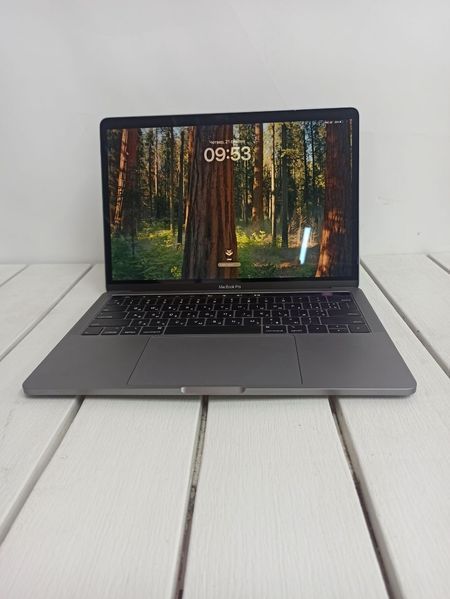 Ноутбук Apple MacBook Pro A1989 13 бат 2:15 часов 000049730 фото