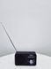 Радиоприемник TechniSat Viola 2 000033497 фото 1