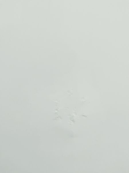Стиральная машина вертикальная Miele W155 WPS 000039643 фото