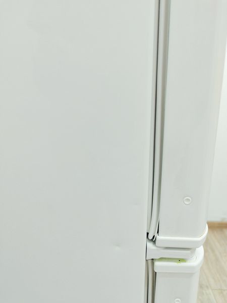 Холодильник двухкамерный Electrolux ERB34250W8 000045151 фото