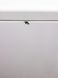 Стиральная машина Miele PW 5065 LP 000032327 фото 6