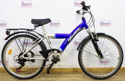 Велосипед 24 Pegasus Free-s xx alu Y-гірський алюміній серосиній 000012302 фото