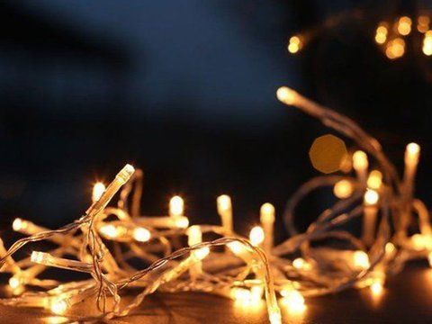 Гирлянда светодиодная Livarno 366224 50хLED 000031971 фото
