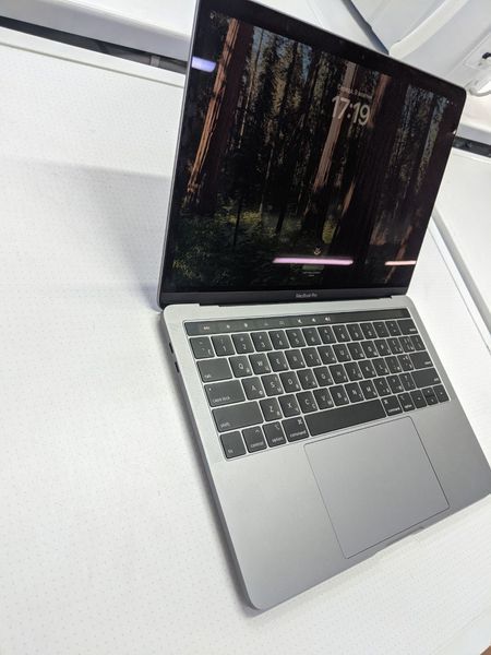 Ноутбук Apple MacBook Pro A1989 RAM 8 Gb 000045820 фото