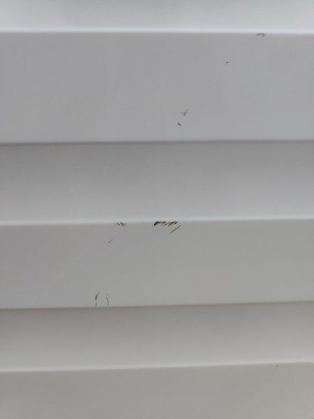 Сушильная машина Beko DS8433GX0 900W 8кг sn 2220376512 000050452 фото