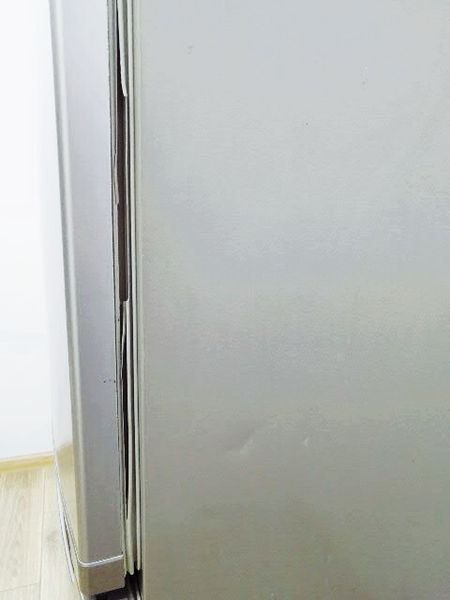 Холодильник двухкамерный Bauknecht KG333 A Plus 10 000032363 фото