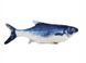Интерактивная игрушка для котов Flippity Fish LB202103472 microUSB 000039926 фото 2