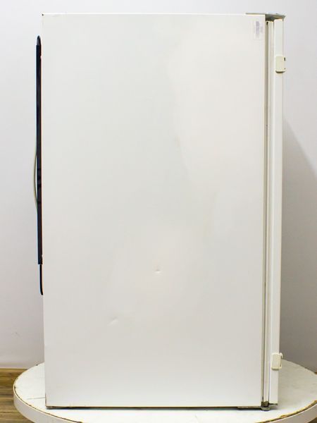 Холодильник однокамерный встраиваемый Zanussi ZI 9165 A 000032366 фото