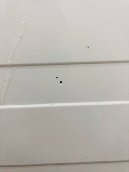 Сушильная машина AEG Protex T7648EXAH 000042377 фото