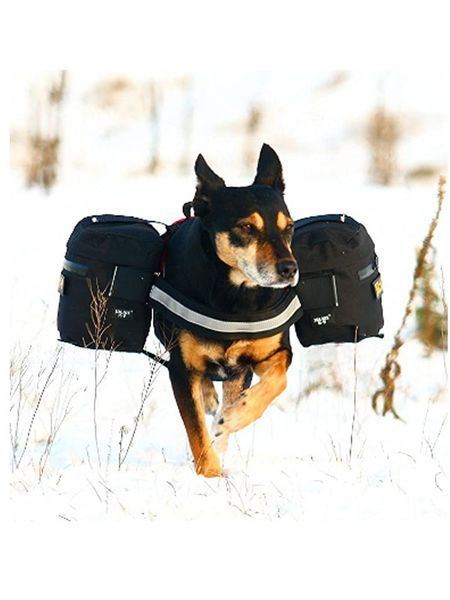 Сумка для собаки Julius K9 1622NT LPNHE463667 000022905 фото