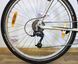 Велосипед 26 Lakota Alu Bike MT 5000 Гірський чорно-сірий алюміній 000012330 фото 4
