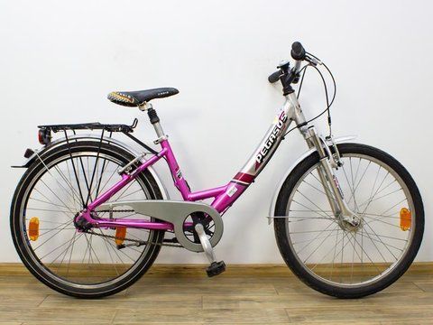 Велосипед 24 Pegasus Team підлітковий сіро-рожевий алюм 000028891 фото