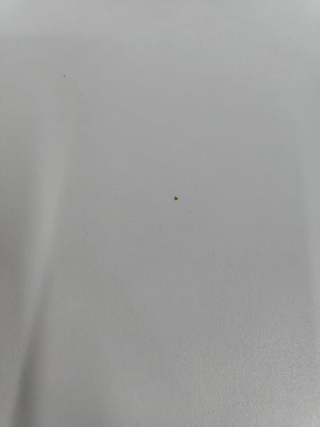 Пральна машина Gorenje W2E743P 1700W 7кг sn 90730276 000051677 фото