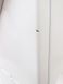Стиральная машина Bosch Avantixx7 WAQ28470EX 06 000031478 фото 9