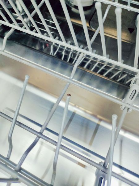 Посудомоечная машина Bosch Exclusiv SMI86P55DE A5 000043254 фото