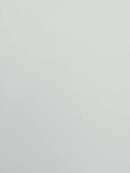 Стиральная машина вертикальная Miele W 257 000037153 фото