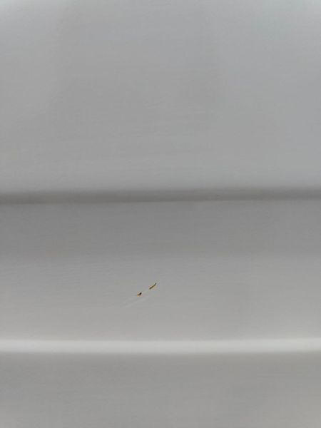 Стиральная машина BEKO WMB71643PTE 2200W 7кг sn 1342322705 000051187 фото