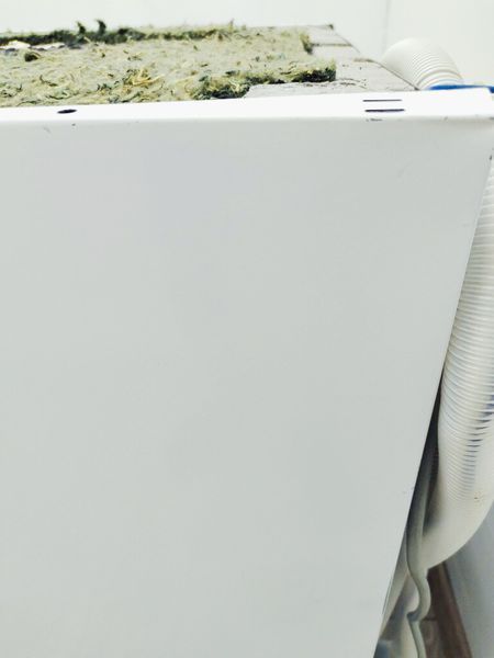 Посудомоечная машина Siemens IQ300 SN23HW41TE 18 000039443 фото