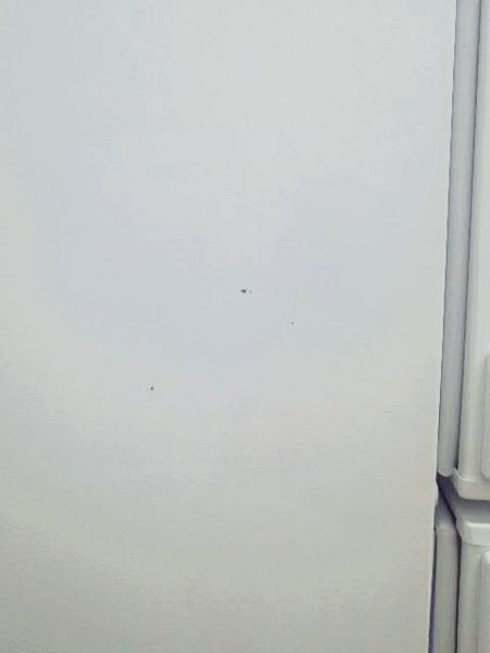 Холодильник двухкамерный Koenic KCB30706 04 000035017 фото