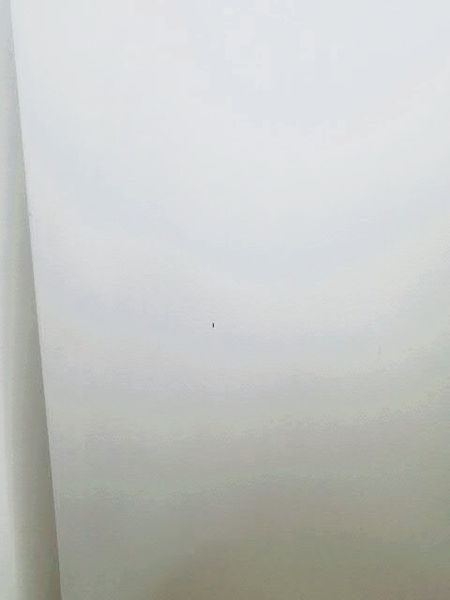 Холодильник двокамерний Beko K54305 189+87л 110w sn 1913245506 000035018 фото