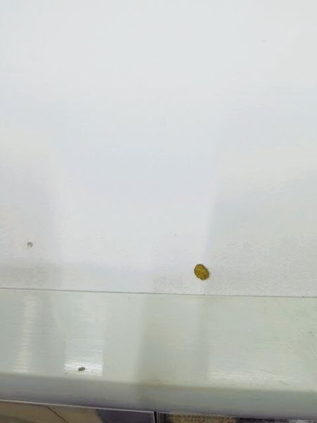 000034892 фото