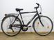 Комфортный велосипед Performance Special Bike 000019165 фото 1