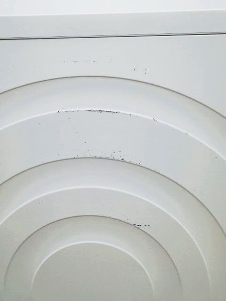 Сушильная машина Siemens IQ700 WT46W562 17 000034623 фото