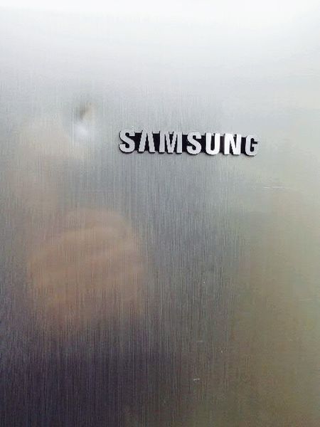 Холодильник двухкамерный Samsung RL34LS Plus 000035007 фото